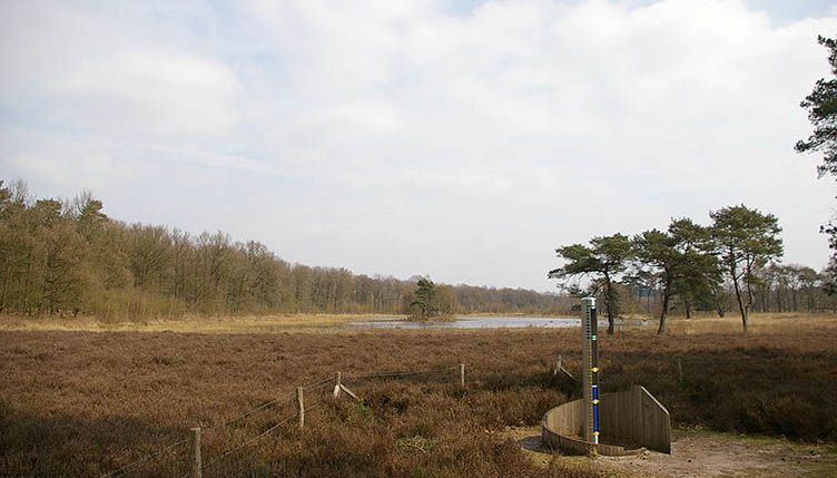 Betuwse-hofjes_afbeelding_natuur_01.jpg