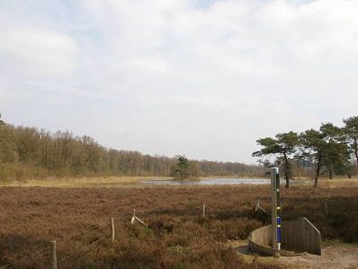 10. Nationaal Park Utrechtse Heuvelrug img